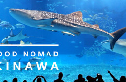 The Food Nomad – Dives into Okinawa